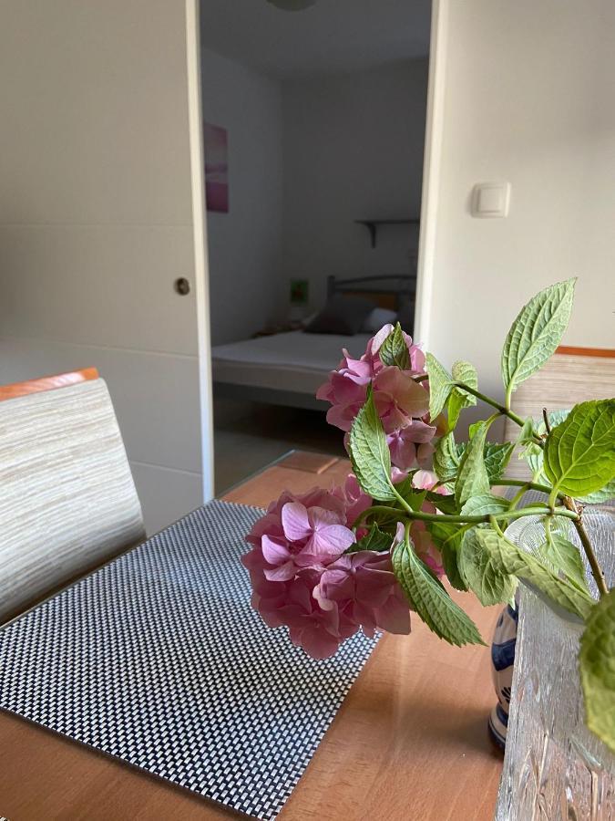 Duje & Roko Apartments ชิเบนิก ภายนอก รูปภาพ